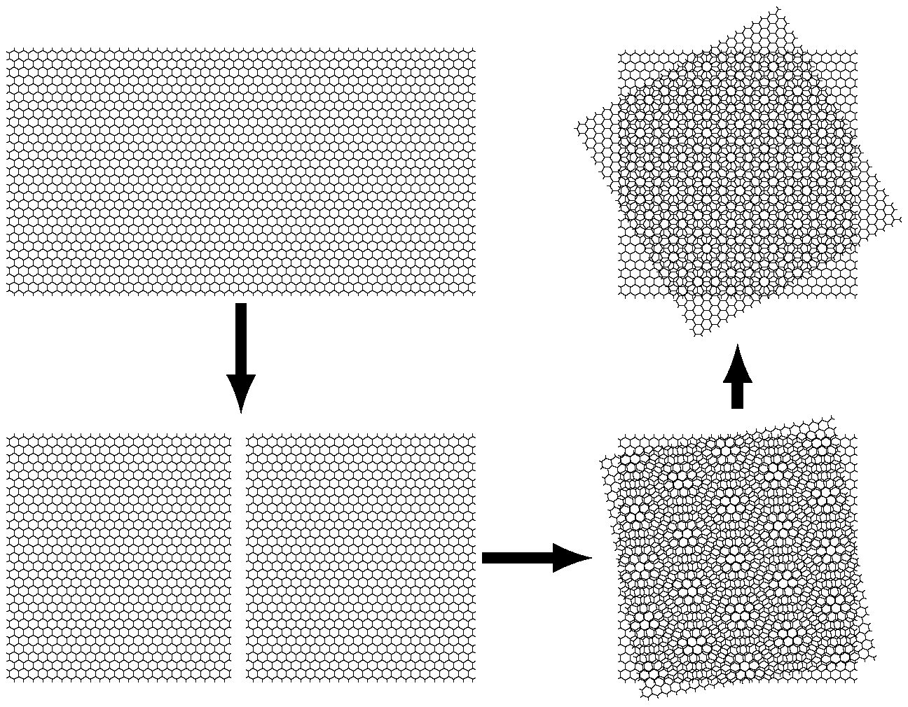 圖1「撕與轉技術」的示意圖，以製備轉角石墨烯。Schematic of the ``tear and twist’’ technique used to fabricate twisted bilayer graphene.